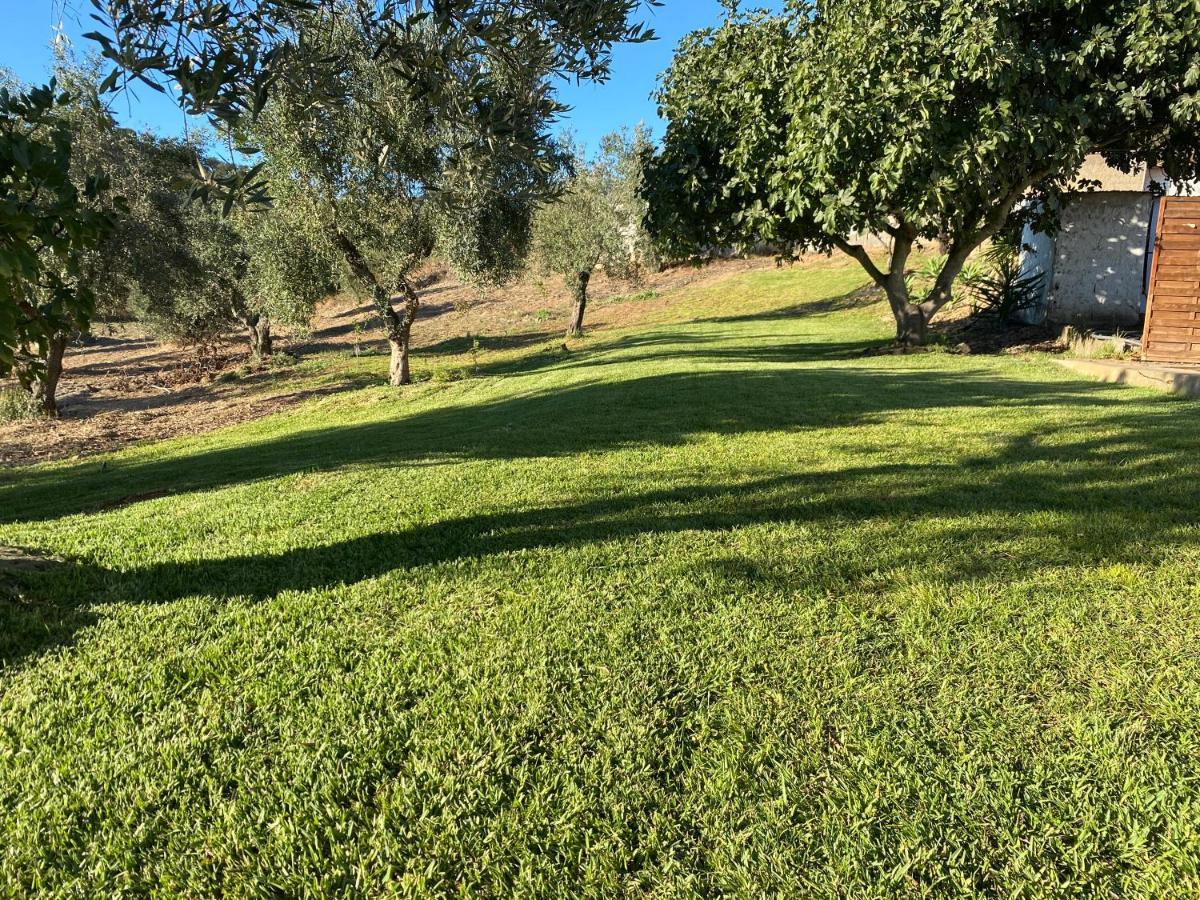 Santa Luzia  Monte Da Alameda - Piscina Aquecida 빌라 외부 사진